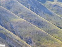 2019-07-06 P. Borghese e Porche 127